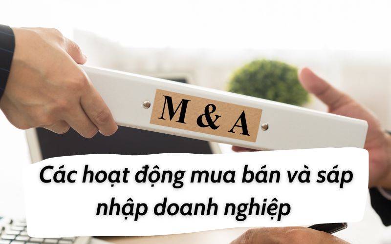 Nghiên cứu các hoạt động mua bán và sáp nhập doanh nghiệp tại Việt Nam