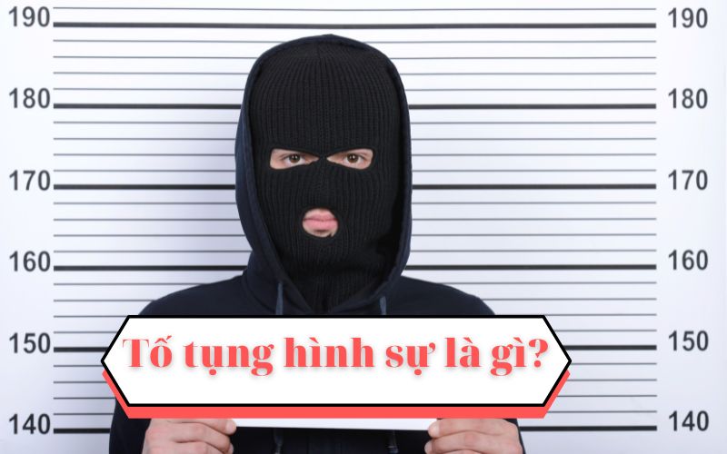 Tố tụng hình sự là gì?