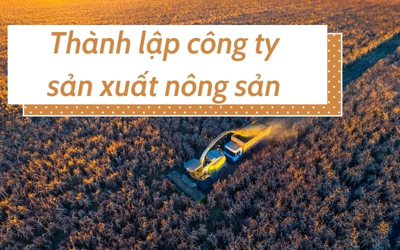 Thành lập công ty sản xuất nông sản